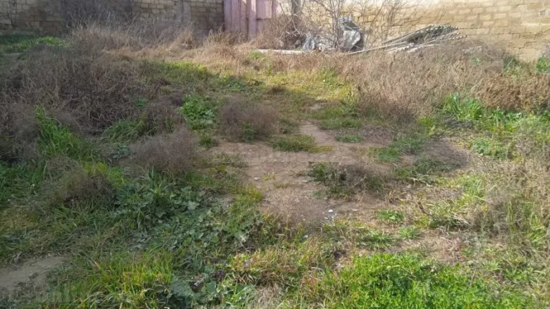 Satılır Torpaq 2.5 sot Badamdar - şəkil 6