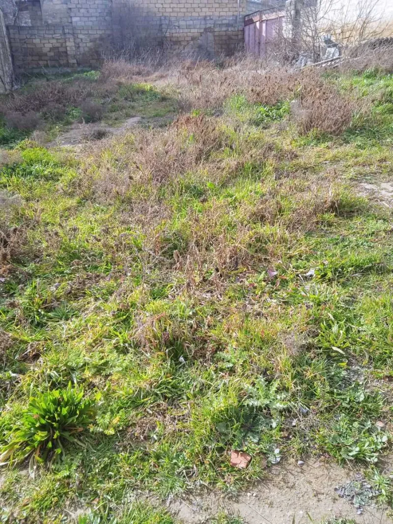 Satılır Torpaq 2.5 sot Badamdar - şəkil 7