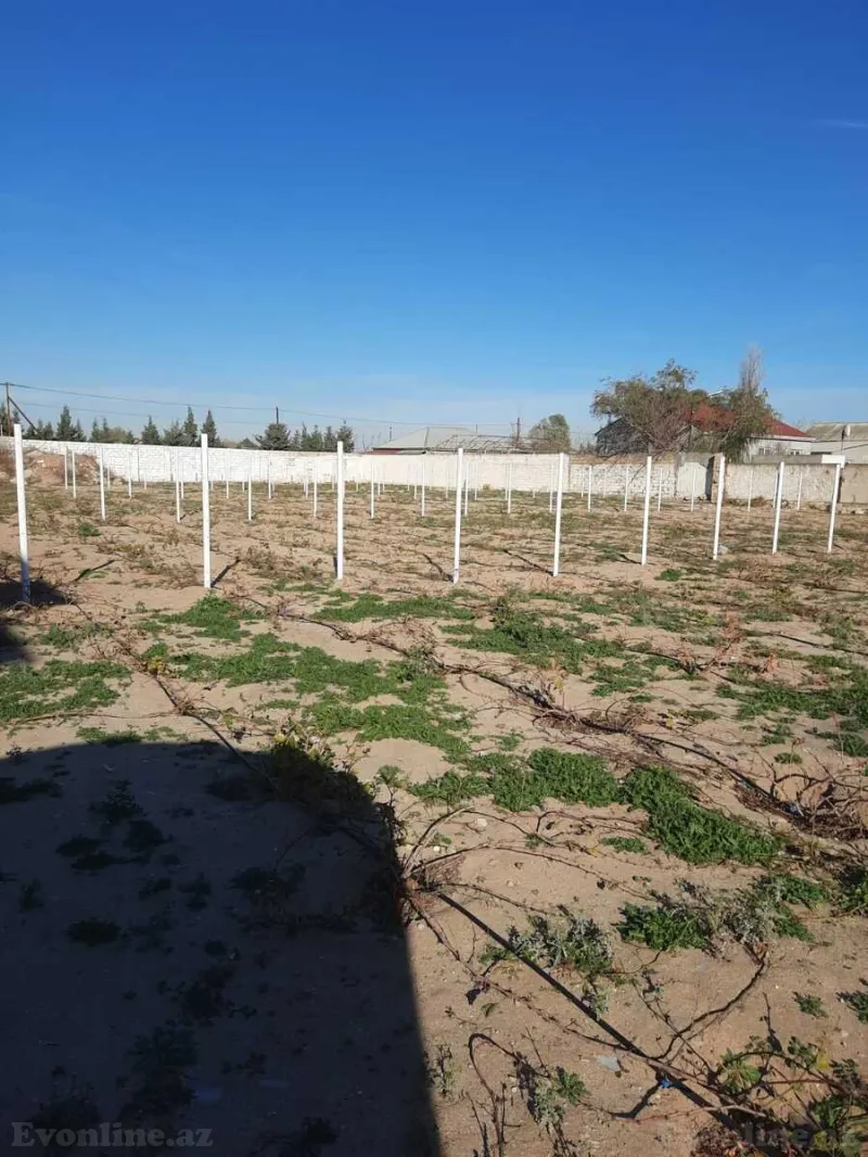 Satılır Torpaq 22 sot Pirşağı - şəkil 2