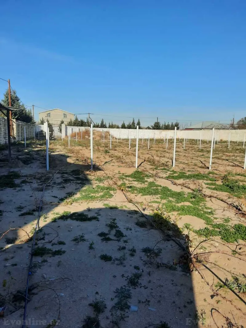 Satılır Torpaq 22 sot Pirşağı - şəkil 3