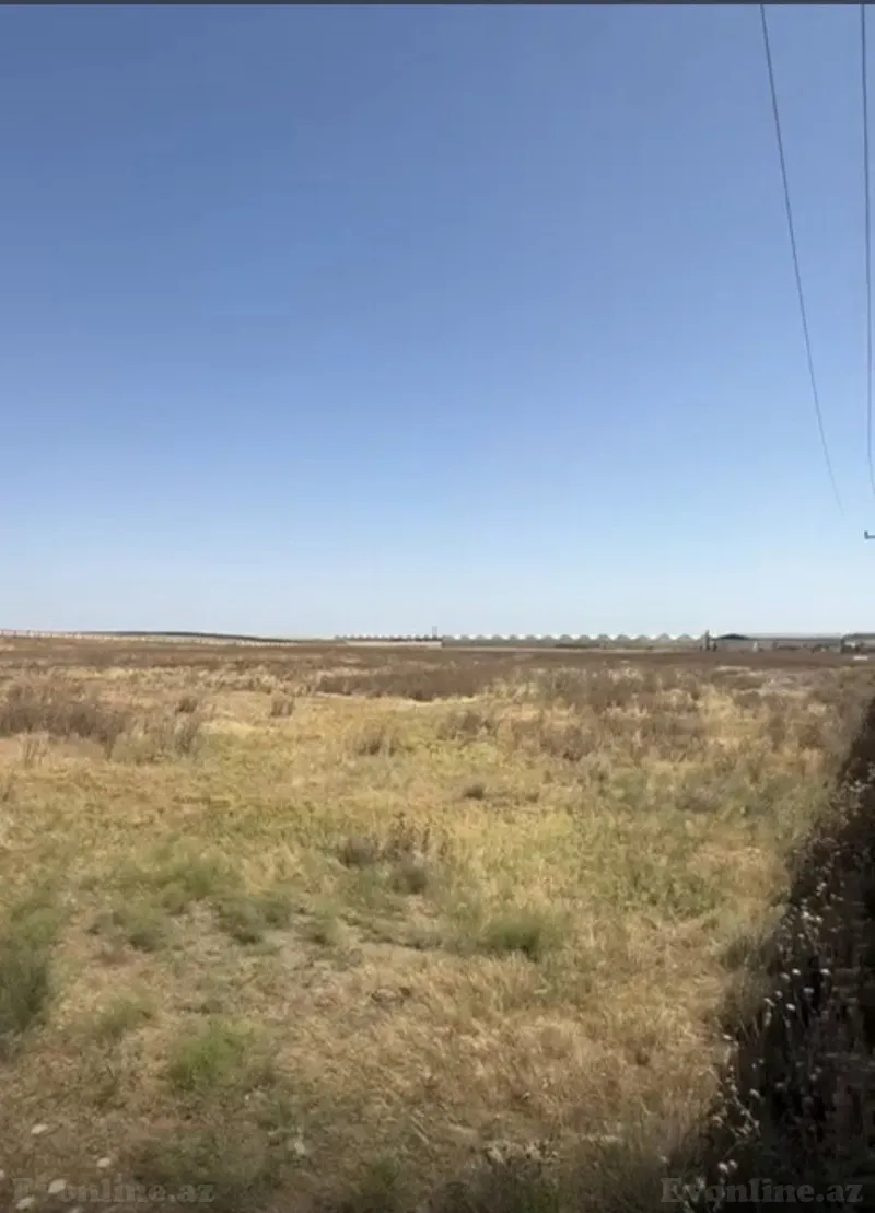 Satılır Torpaq 7000 sot Zığ - şəkil 2