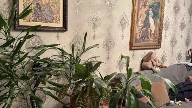 Satılır 2 otaqlı Mənzil Köhnə tikili 55 m² Badamdar - şəkil 2