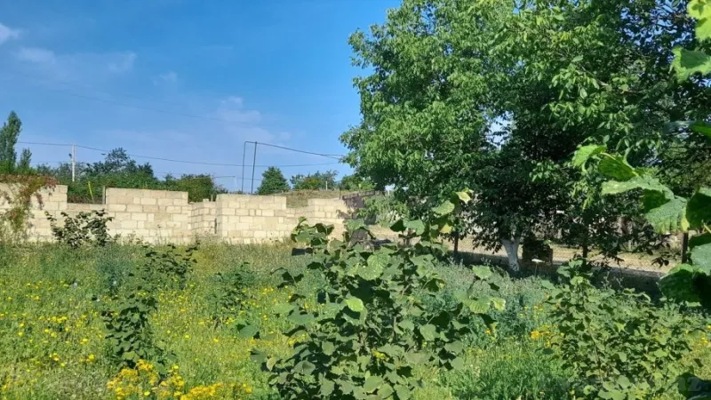 Satılır Torpaq 10 sot Qusar - şəkil 6