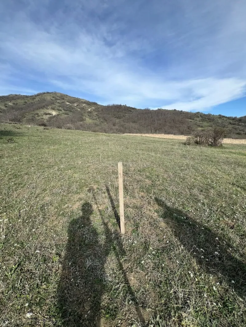 Xızıda torpaq satılır