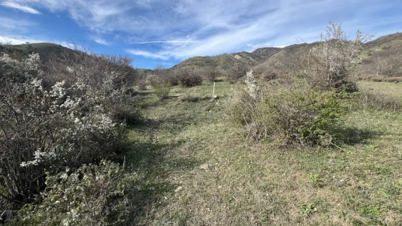 Satılır Torpaq 12 sot Xızı - şəkil 4