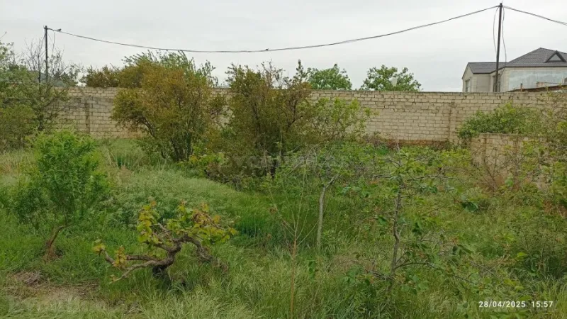 Satılır Torpaq 10 sot Sumqayıt - şəkil 2