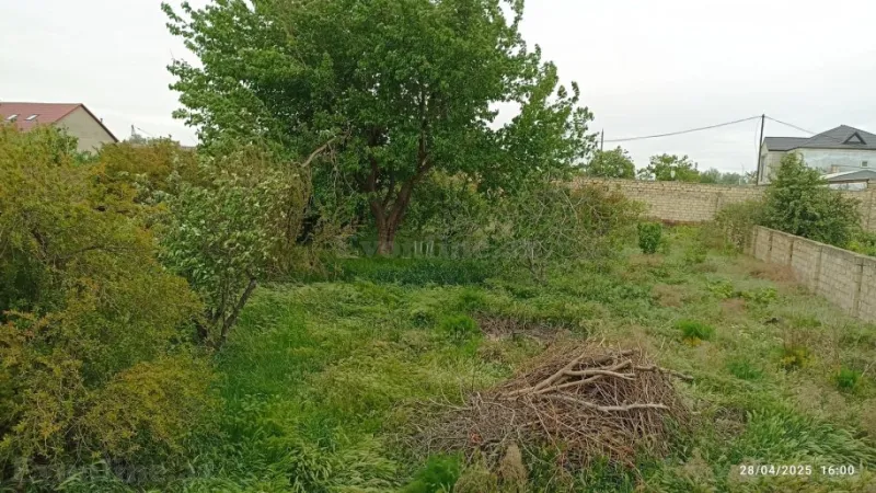Satılır Torpaq 10 sot Sumqayıt - şəkil 3
