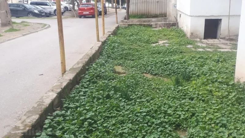 Satılır 3 otaqlı Mənzil Köhnə tikili 80 m² 8-ci kilometr - şəkil 4