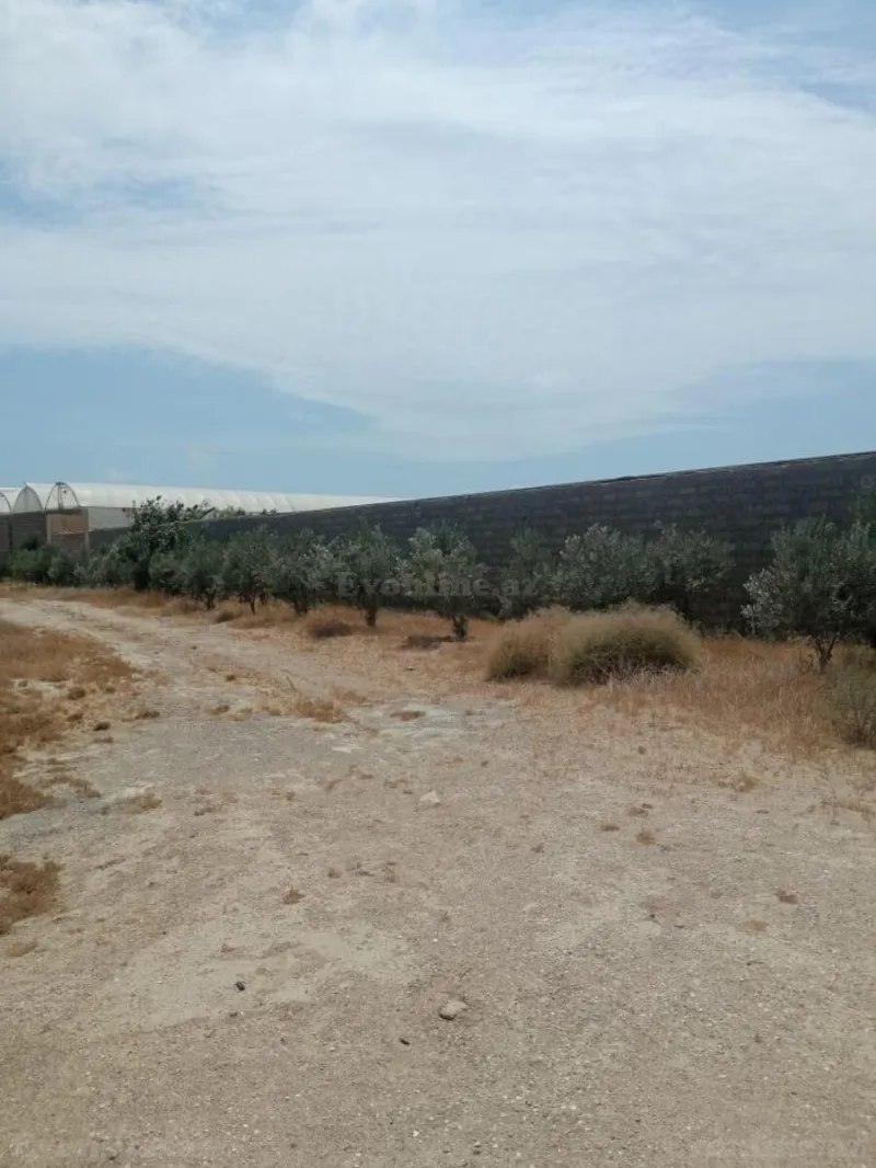 Satılır Torpaq 100 sot Pirşağı - şəkil 4