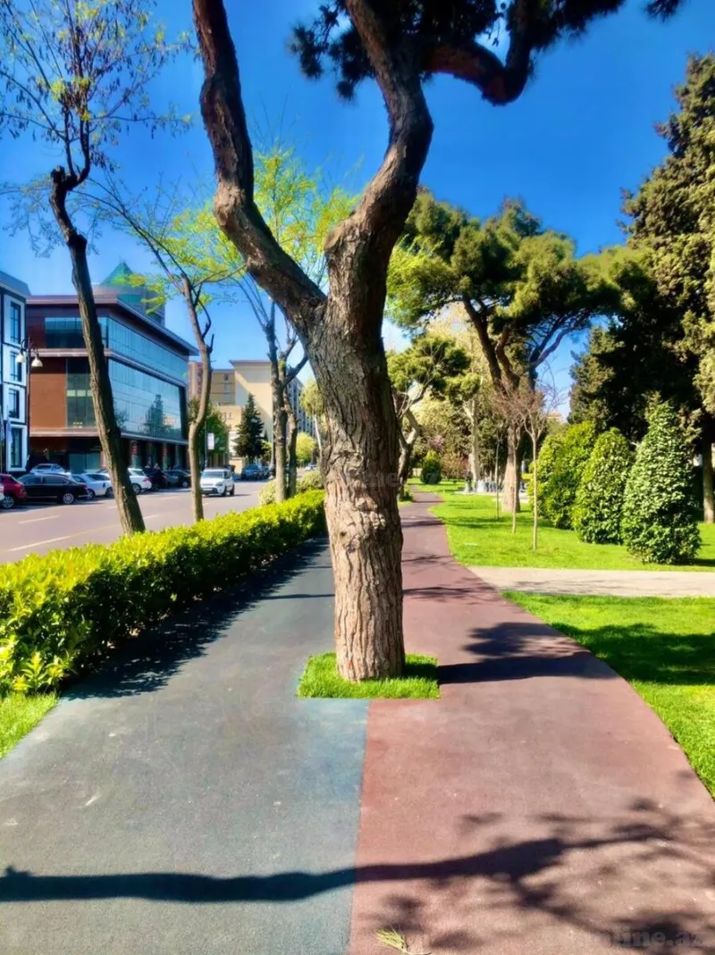 Satılır 3 otaqlı Mənzil Köhnə tikili 83 m² Gənclik m. - şəkil 24