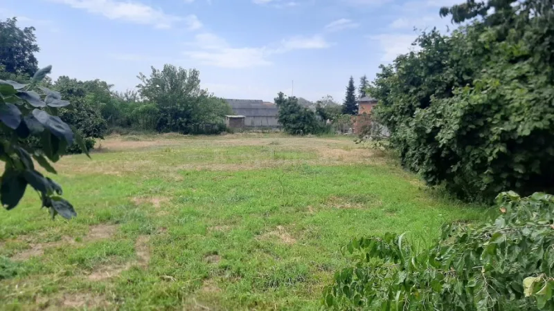 Satılır Torpaq 5 sot Zaqatala - şəkil 2