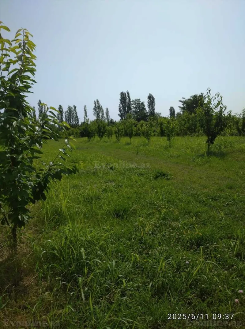 Torpaq Xaçmaz Satılır