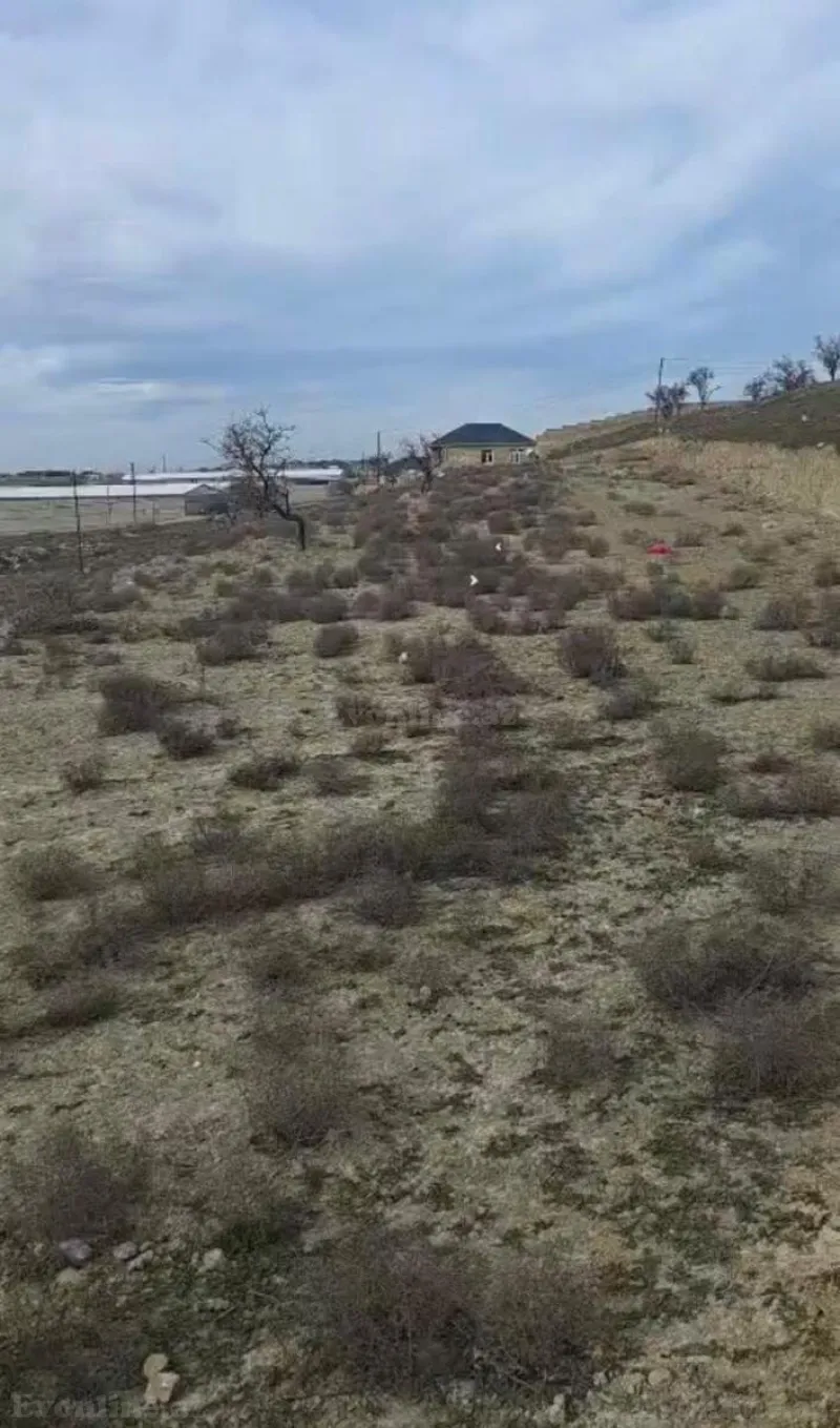 Satılır Torpaq 9 sot Masazır