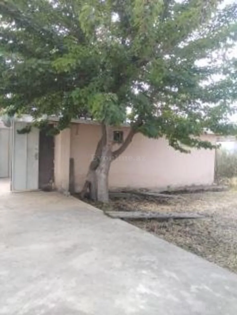 Satılır Torpaq 12 sot Sabunçu r. - şəkil 2