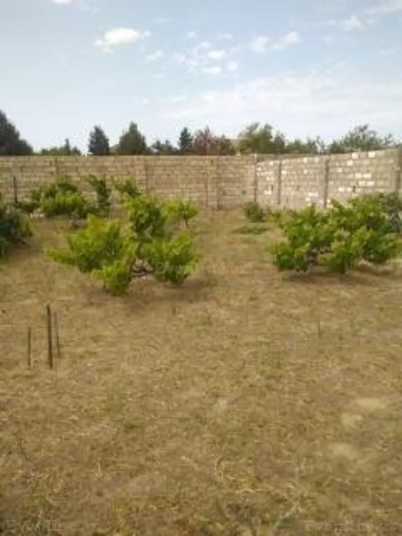 Satılır Torpaq 12 sot Sabunçu r. - şəkil 3