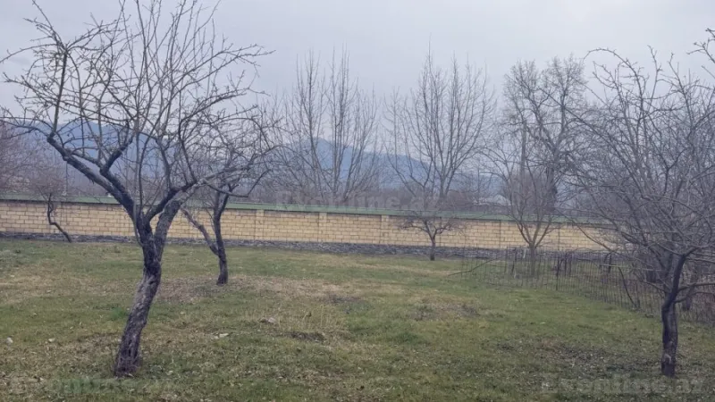 Satılır Torpaq 22 sot Qəbələ - şəkil 2