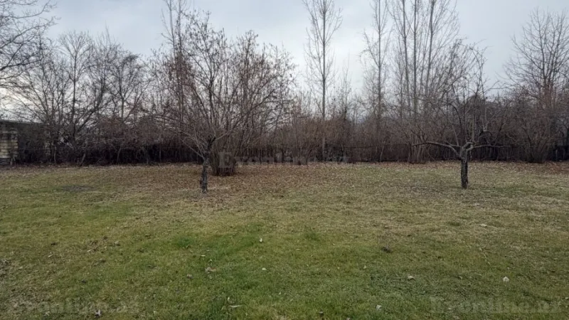 Satılır Torpaq 22 sot Qəbələ - şəkil 3