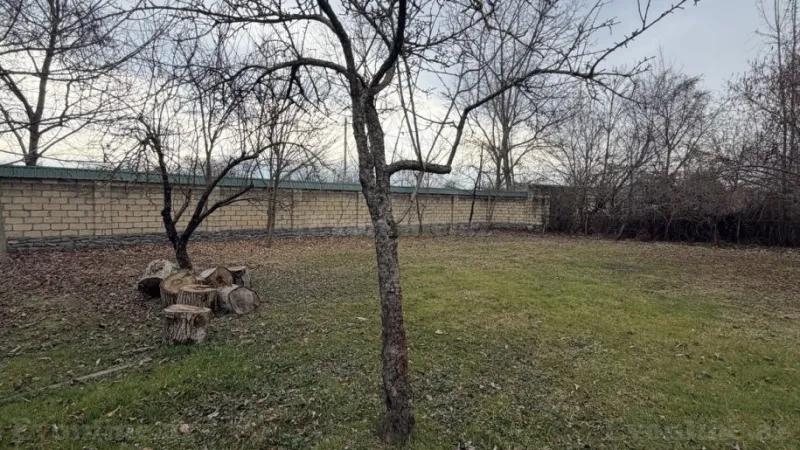 Satılır Torpaq 22 sot Qəbələ - şəkil 4