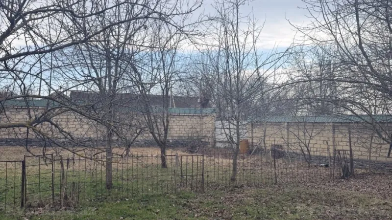 Satılır Torpaq 22 sot Qəbələ - şəkil 5