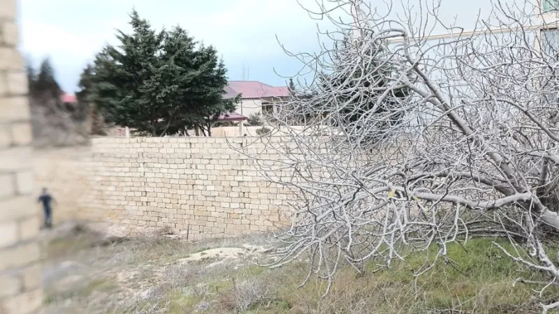 Satılır Torpaq 7 sot Novxanı - şəkil 10