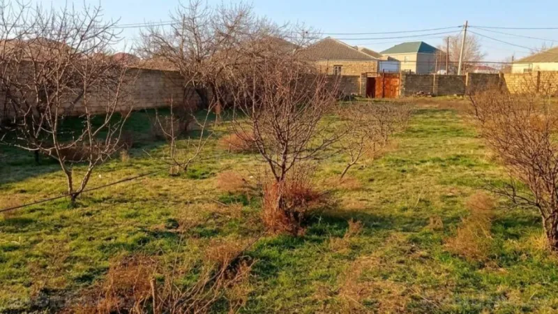 Satılır Torpaq 12 sot Saray - şəkil 2