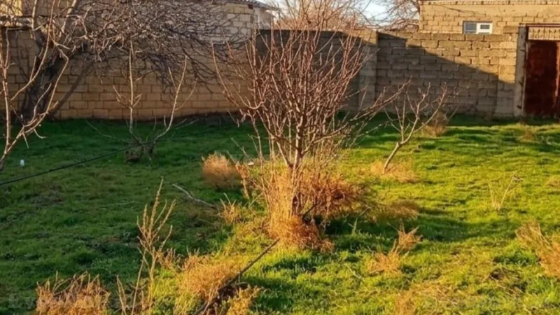 Satılır Torpaq 12 sot Saray - şəkil 3