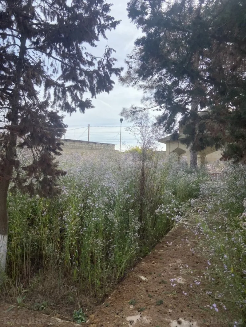 Satılır Torpaq 10 sot Xəzər r.