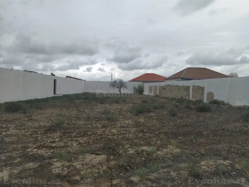 Satılır Torpaq 12 sot Qala - şəkil 2
