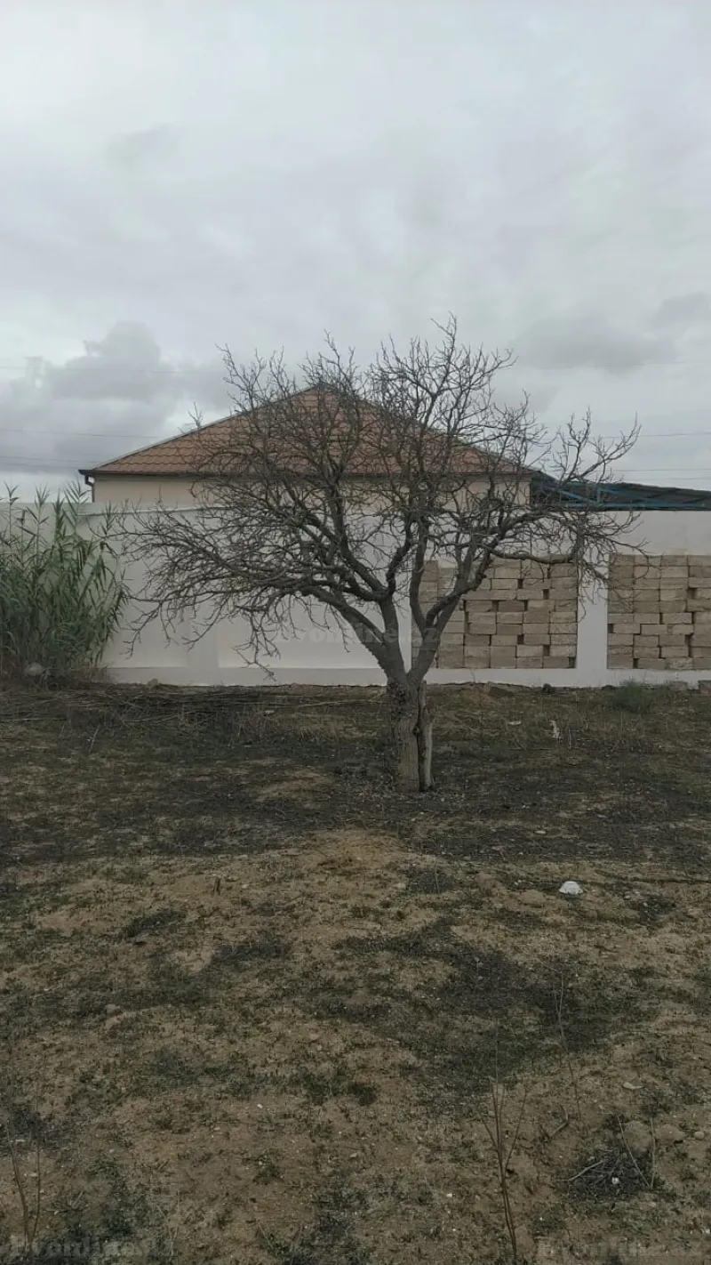 Satılır Torpaq 12 sot Qala - şəkil 14