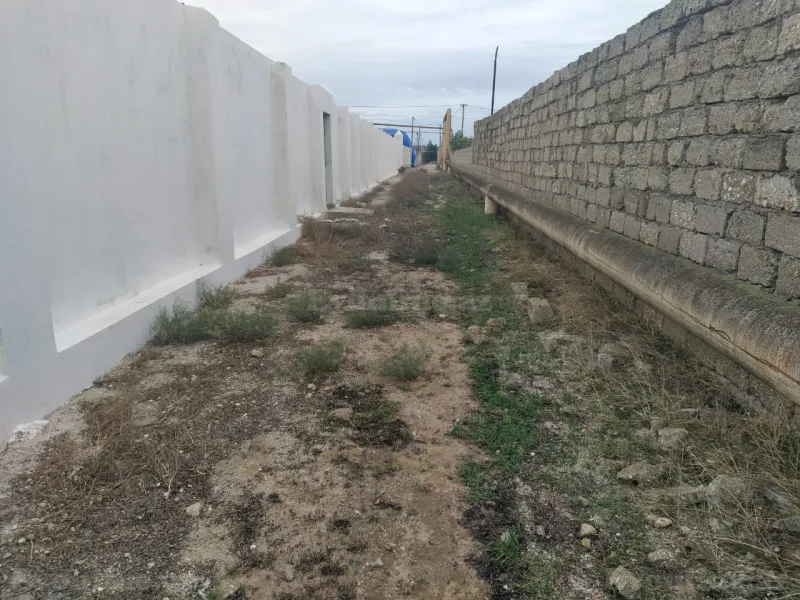 Satılır Torpaq 12 sot Qala - şəkil 23