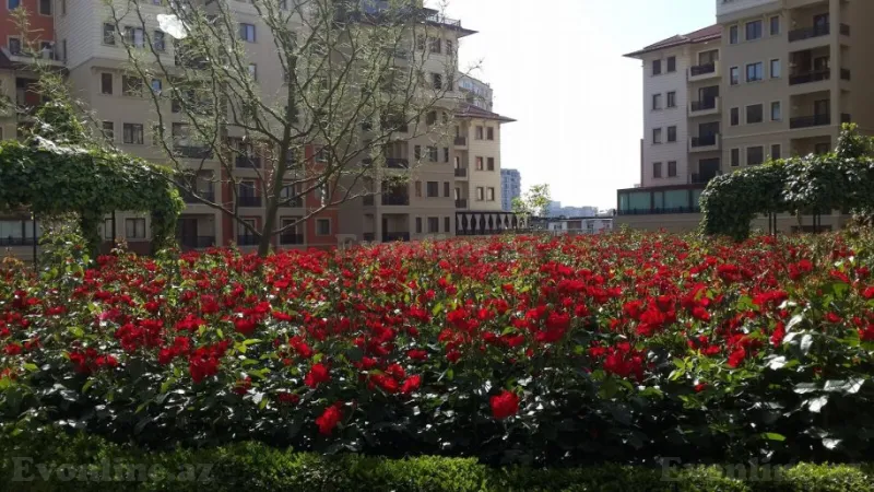 Satılır 4 otaqlı Mənzil Yeni tikili 202 m² Gənclik m.