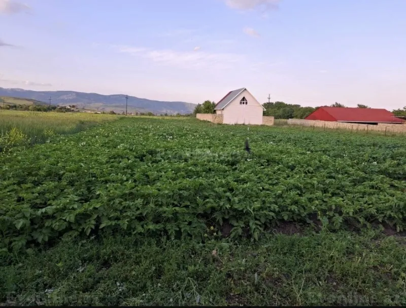 Satılır 2 otaqlı Həyət evi 100 m² Şamaxı - şəkil 3