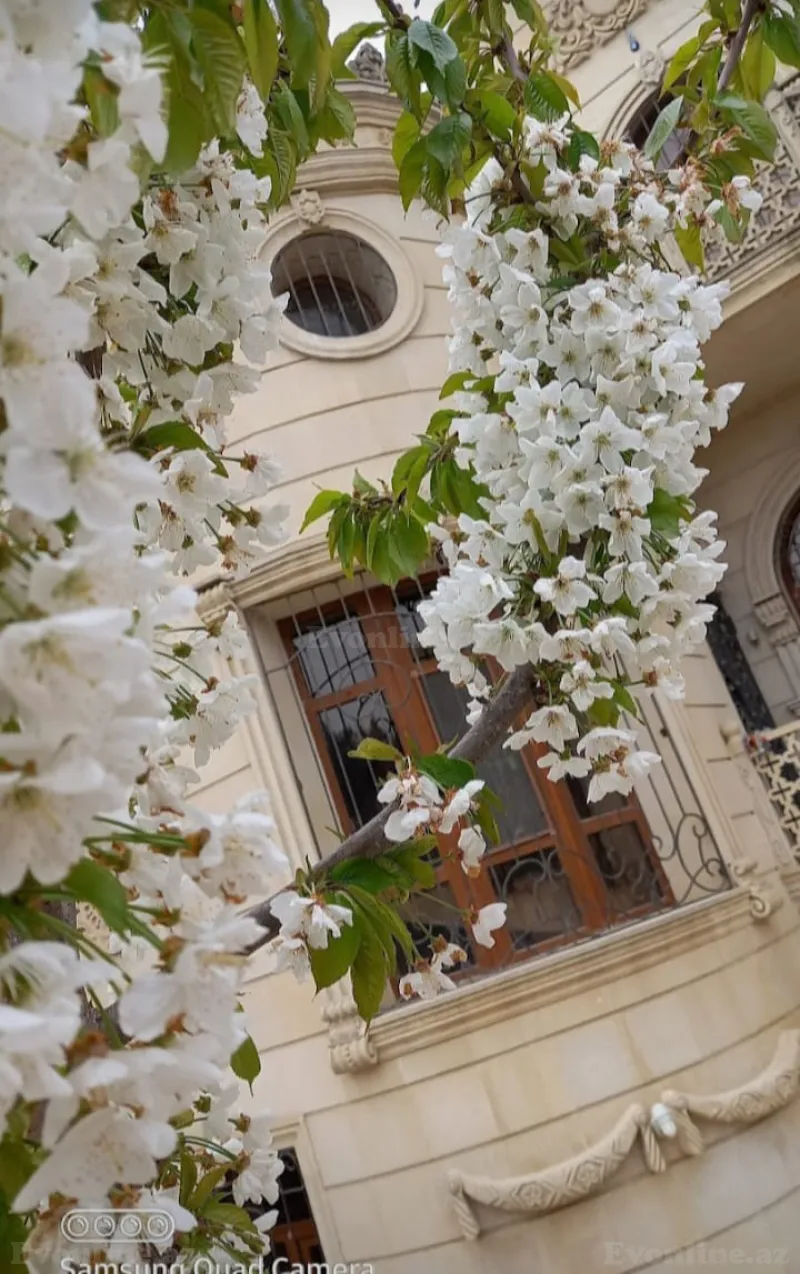 Kirayə verilir 10 otaqlı Həyət evi 360 m² Yeni Ramana - şəkil 2