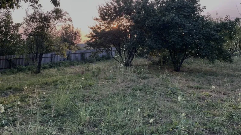 Satılır Torpaq 10 sot İsmayıllı - şəkil 3