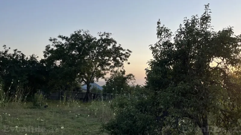 Satılır Torpaq 10 sot İsmayıllı - şəkil 4