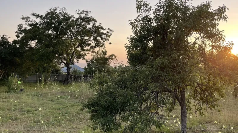 Satılır Torpaq 10 sot İsmayıllı - şəkil 5