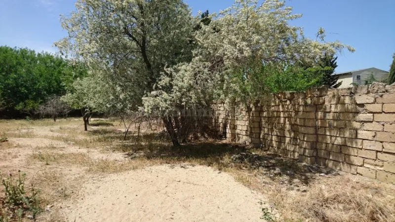 Satılır Torpaq 25 sot Görədil - şəkil 4