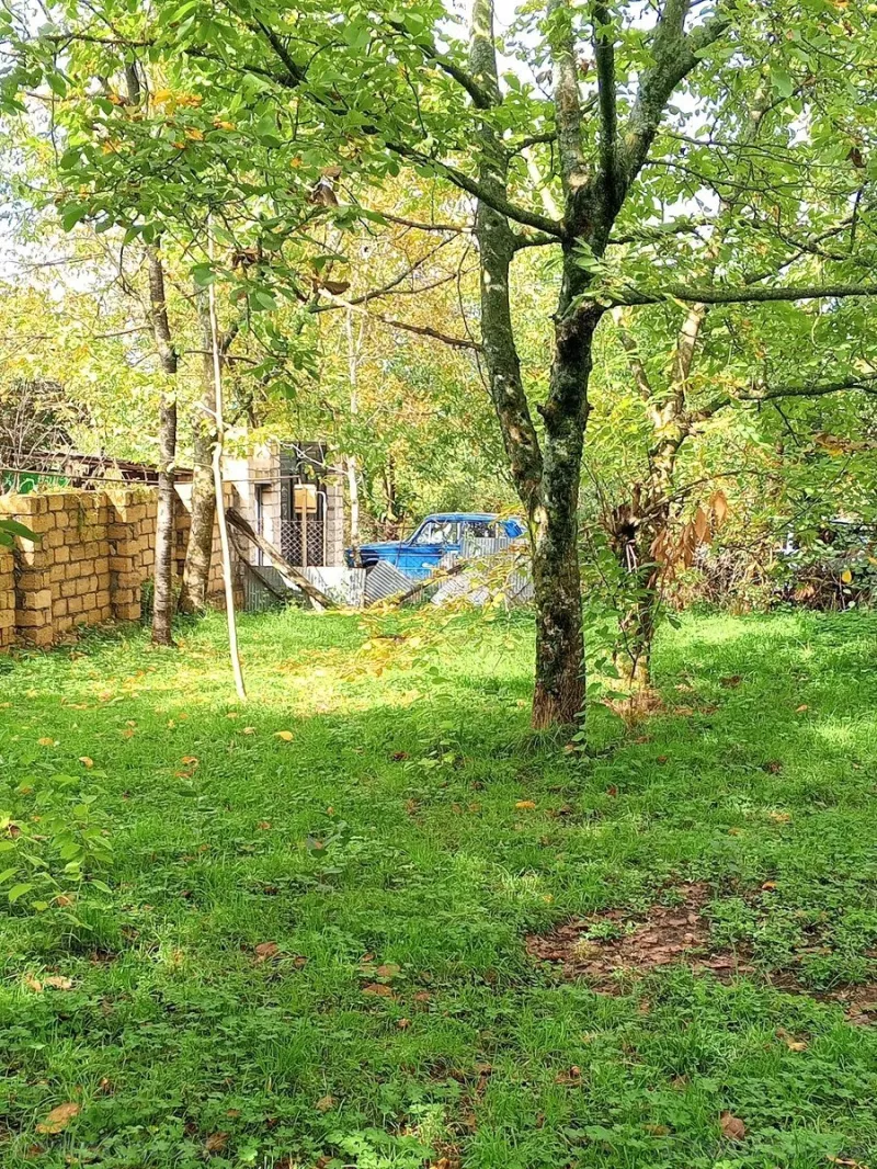 Satılır Torpaq 5 sot Qəbələ