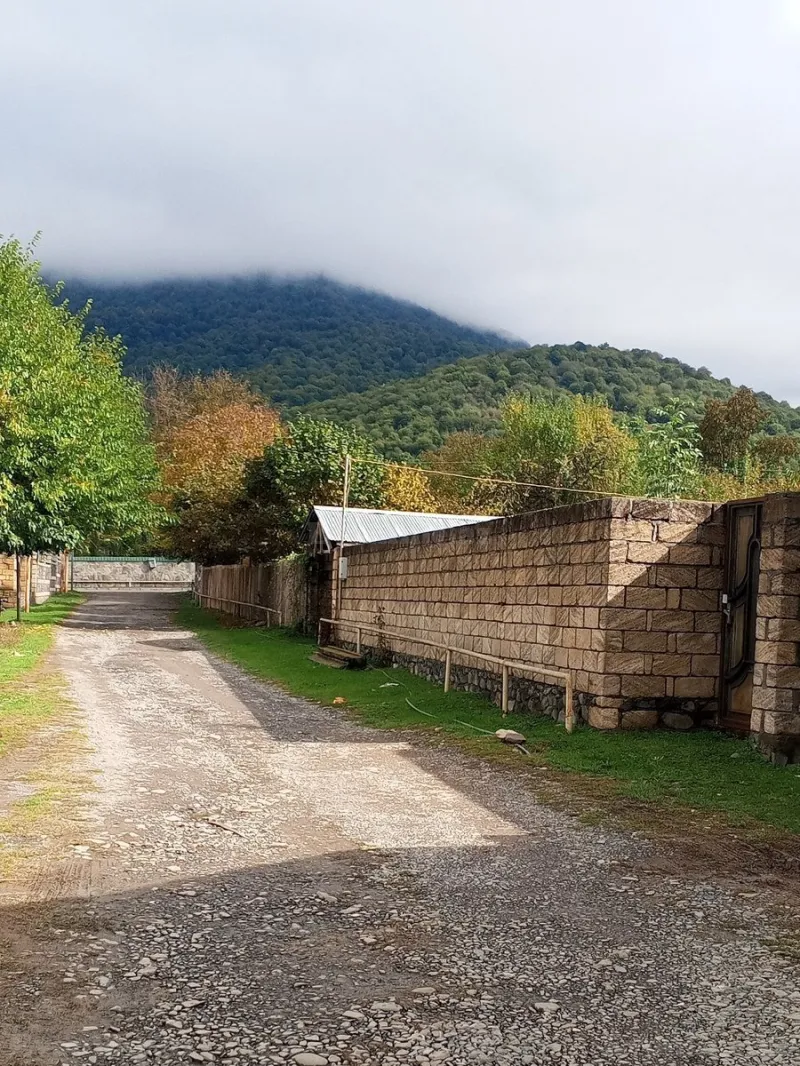 Satılır Torpaq 5 sot Qəbələ - şəkil 3