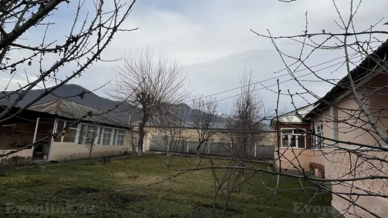 Satılır Torpaq 10 sot Qəbələ - şəkil 3