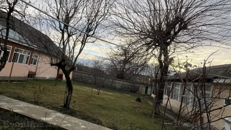 Satılır Torpaq 10 sot Qəbələ - şəkil 5