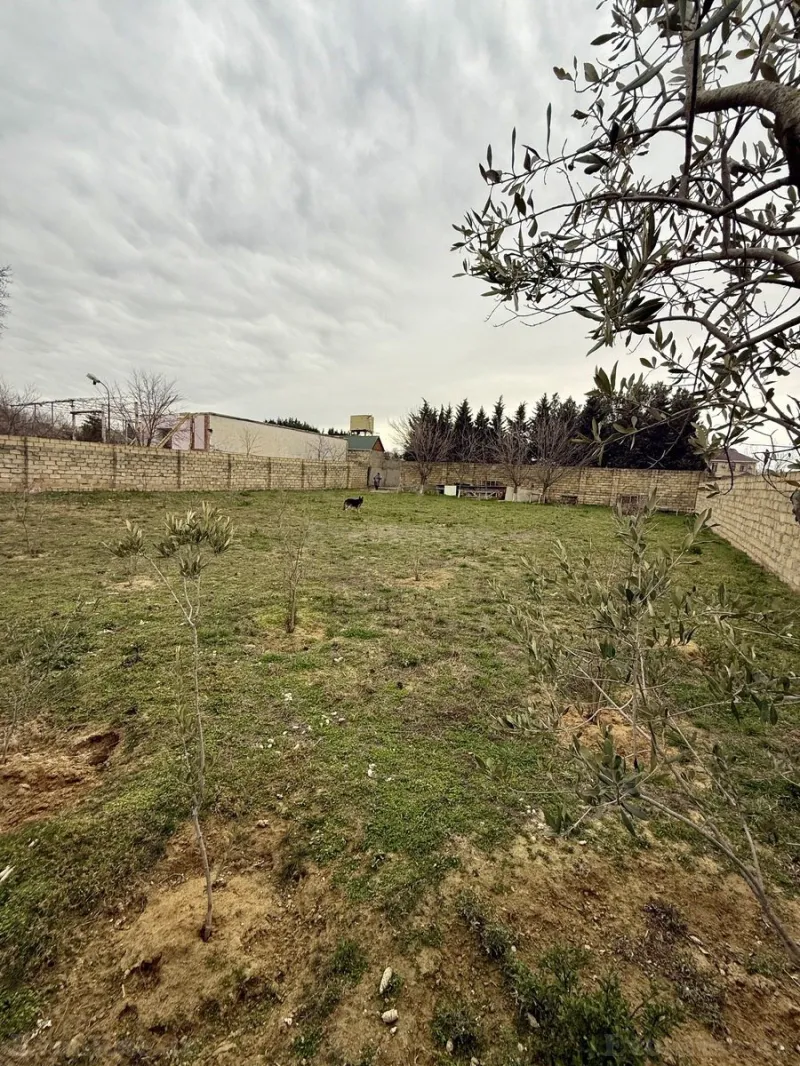 Satılır Torpaq 11 sot Novxanı