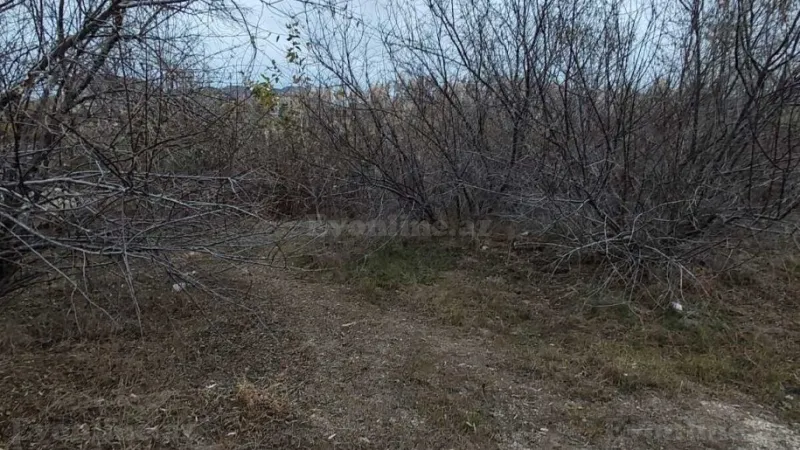 Satılır Torpaq 20 sot Buzovna