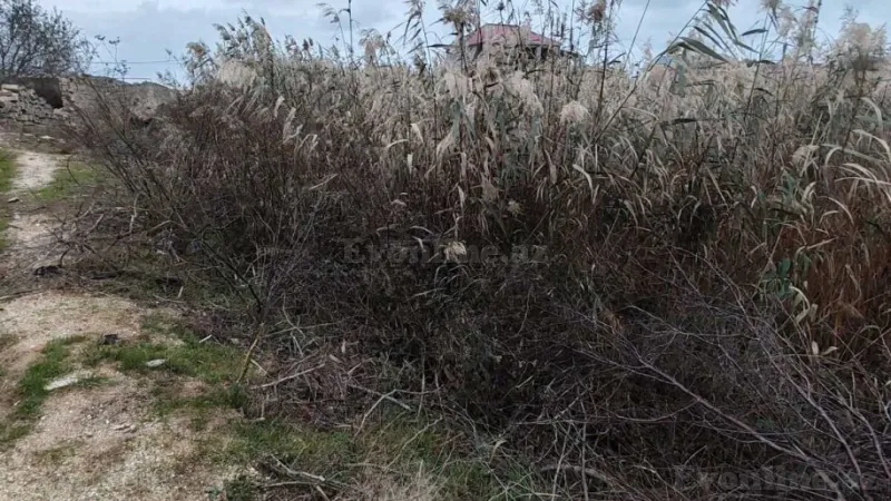 Satılır Torpaq 20 sot Buzovna - şəkil 2