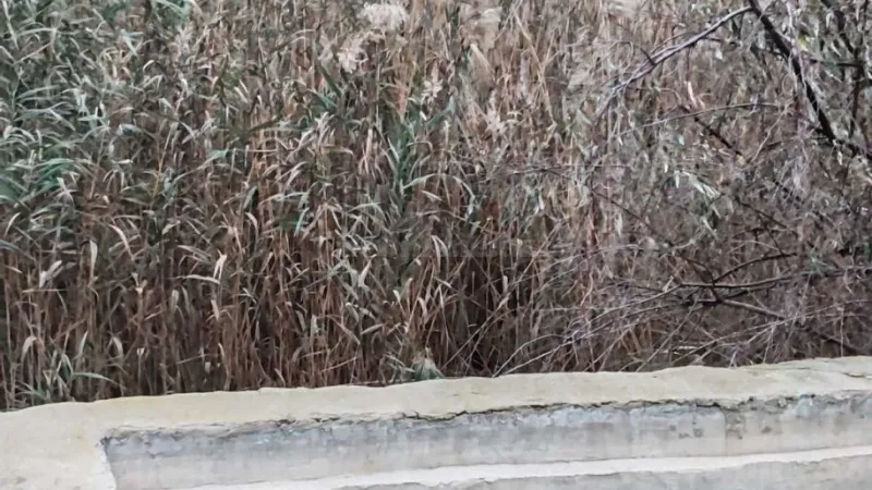 Satılır Torpaq 20 sot Buzovna - şəkil 7