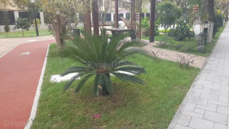 Kirayə verilir 2 otaqlı Mənzil Yeni tikili 55 m² Nəriman Nərimanov m. - şəkil 3