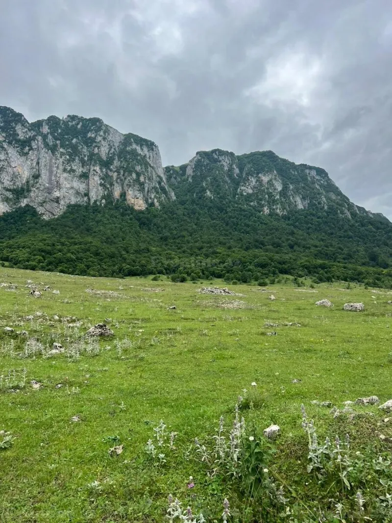 Satılır Torpaq 6 sot Quba - şəkil 2