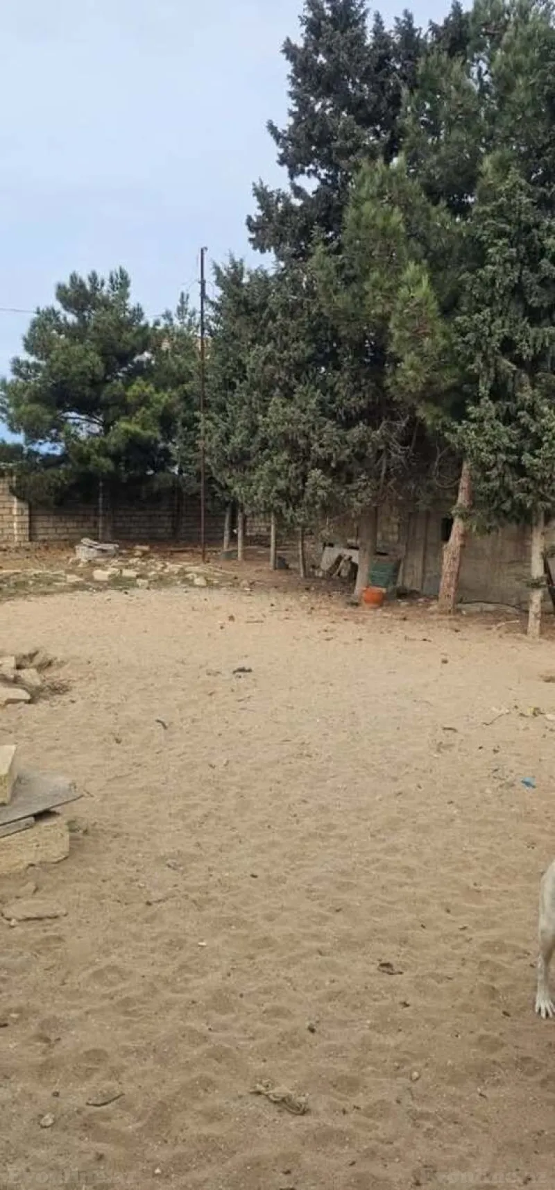 Satılır Torpaq 14 sot Nardaran - şəkil 6