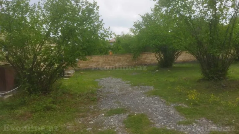 Satılır Torpaq 20 sot Qəbələ