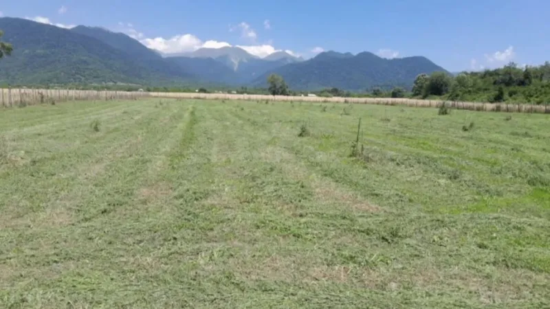 Satılır Torpaq 20 sot Qəbələ - şəkil 3